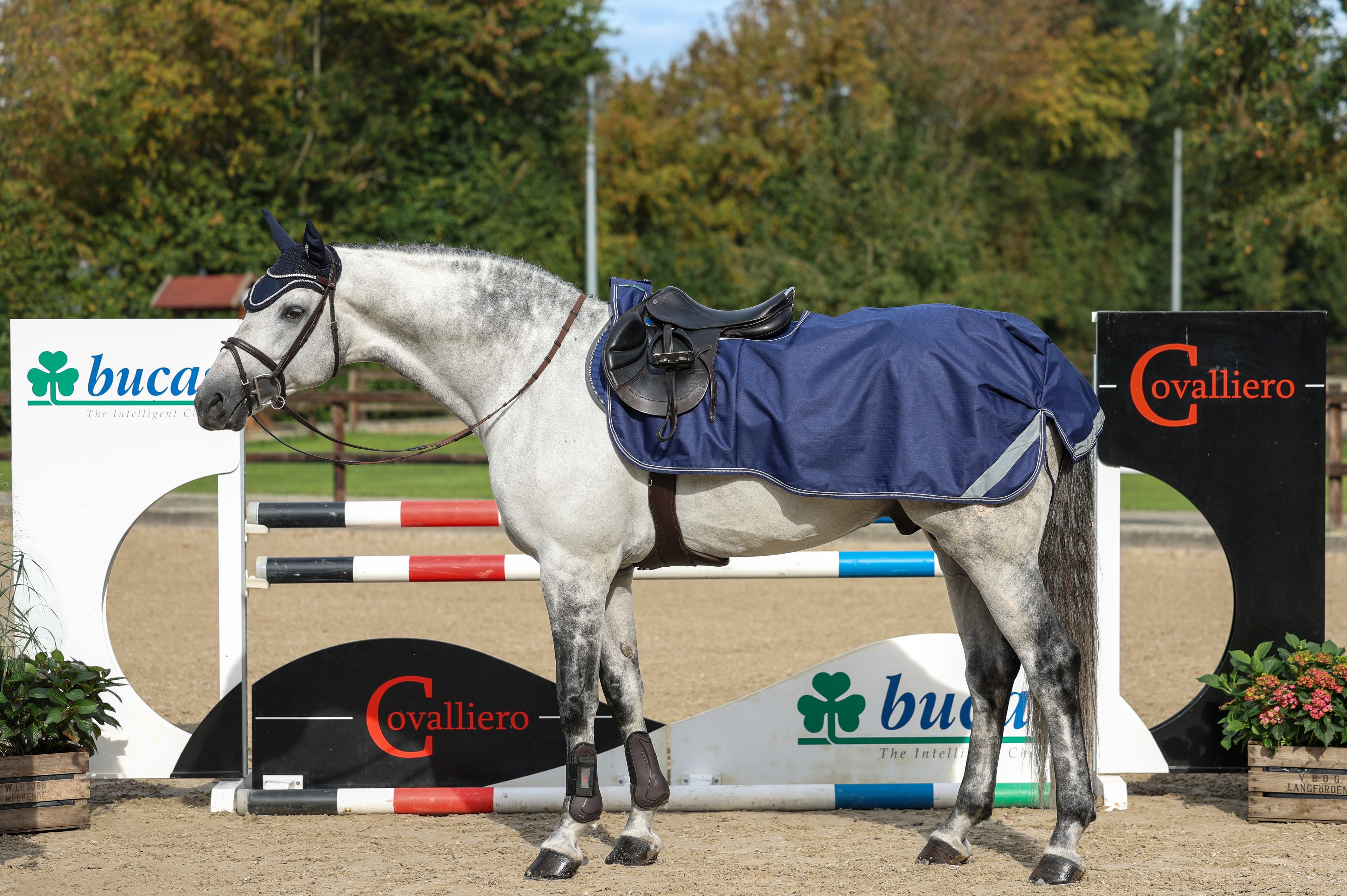 Bucas Exercise Sheet (Riding Rug)