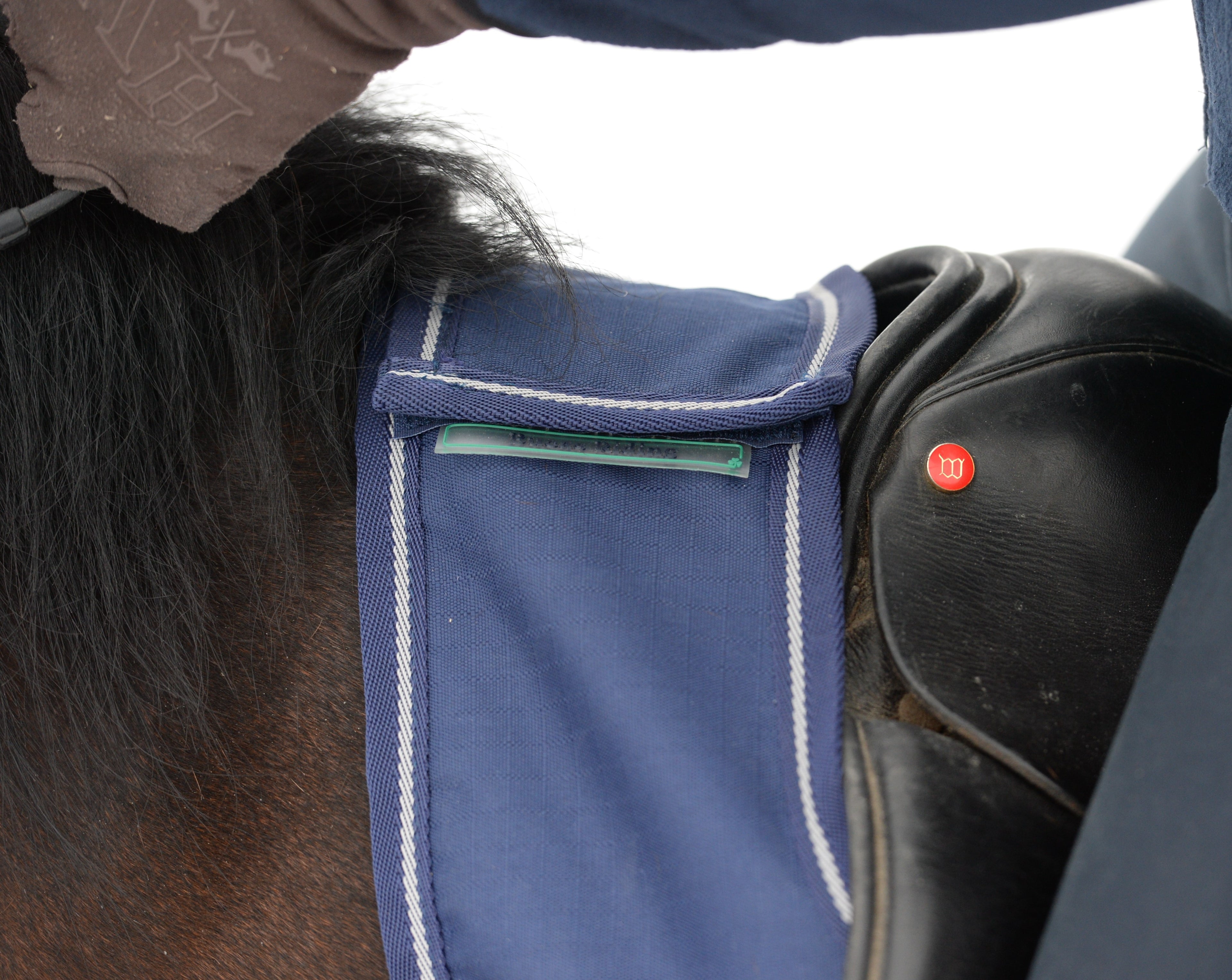 Bucas Exercise Sheet (Riding Rug)