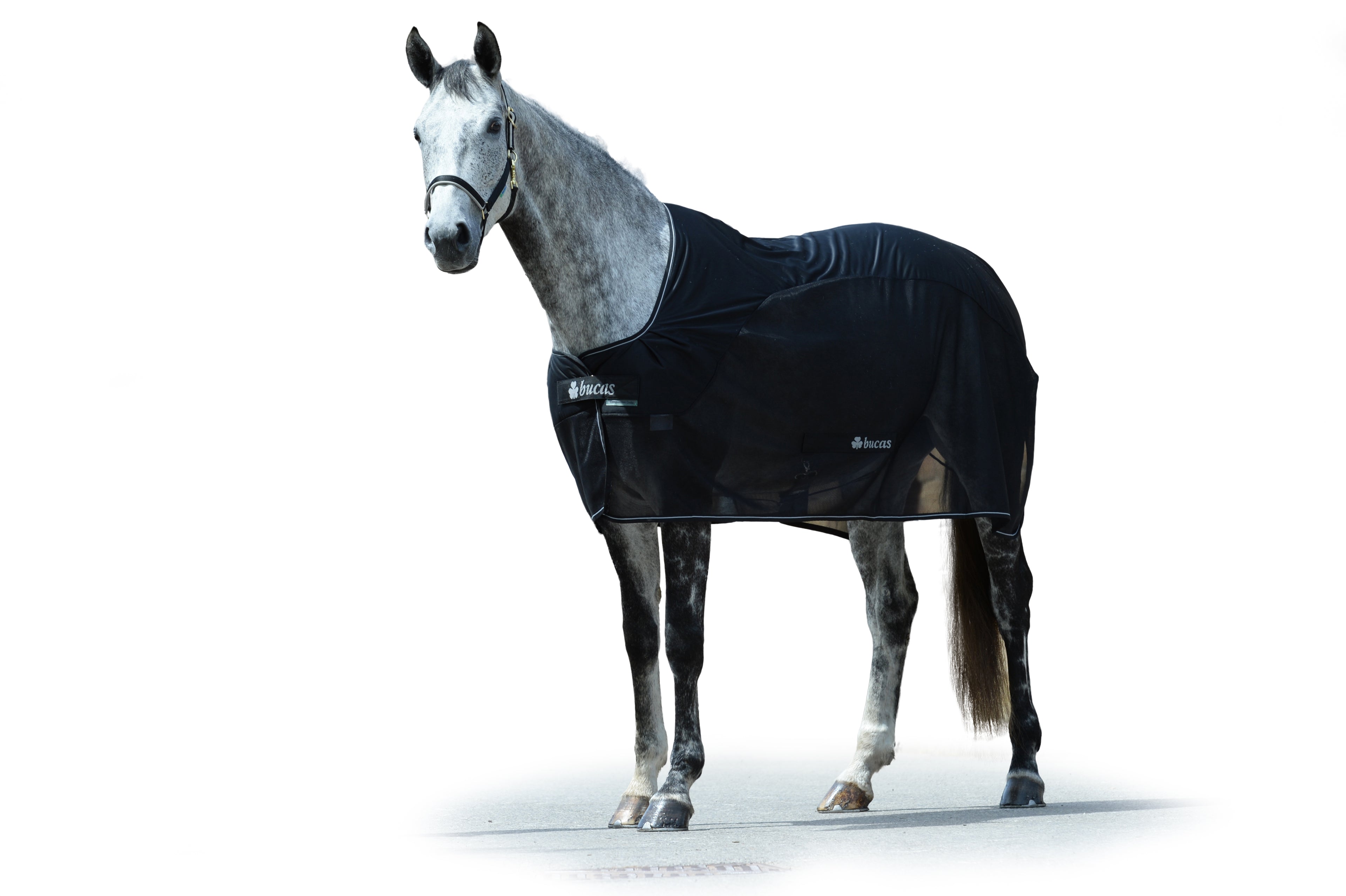 Bucas Competition MeshPlus Cooler Black (rug only no neck)
