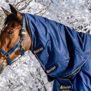 Bucas Irish Paddock 1200 denier 150g Turnout Combo