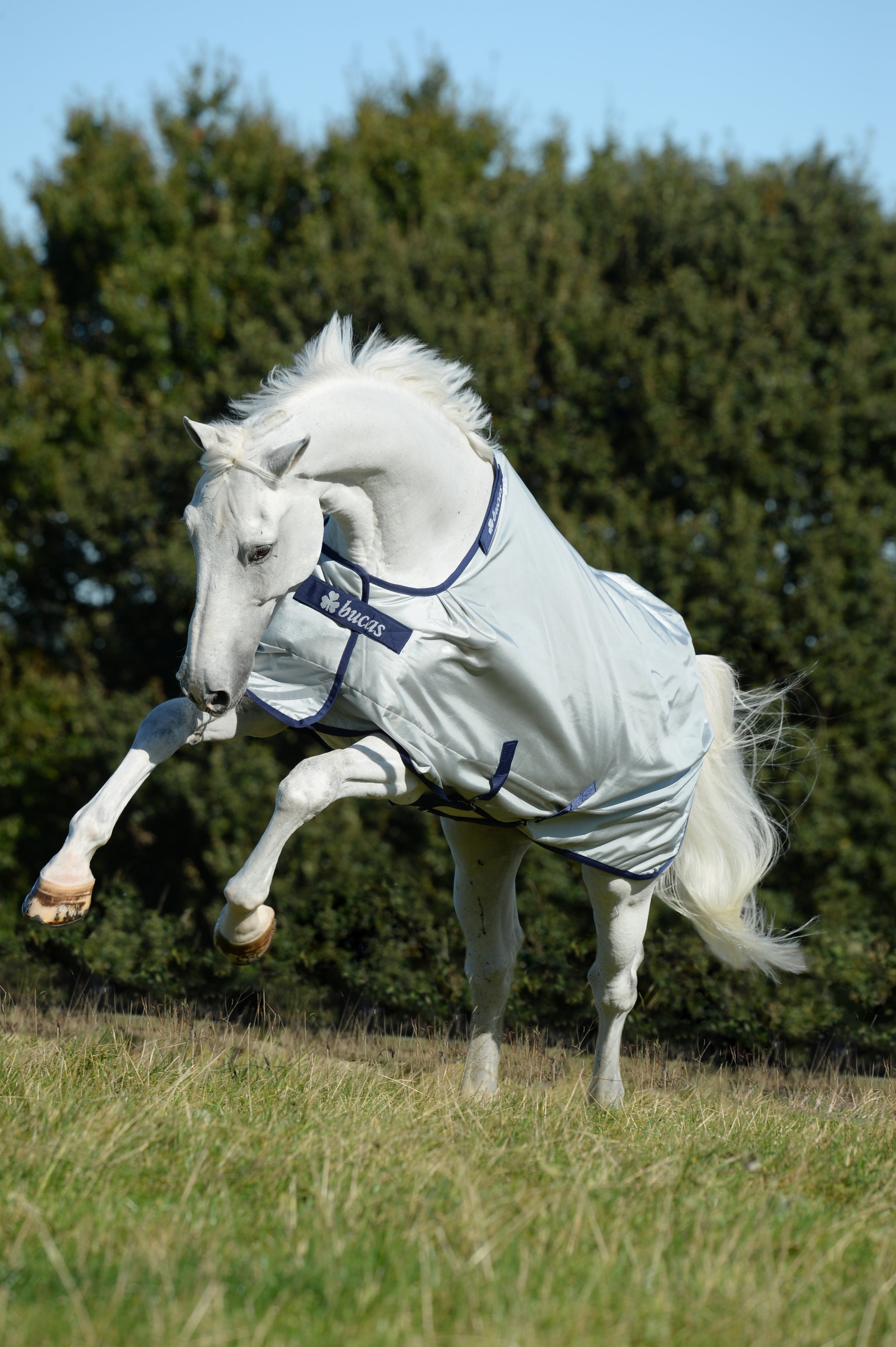 Bucas Rug Power Lite No Fill Turnout (Rug Only)