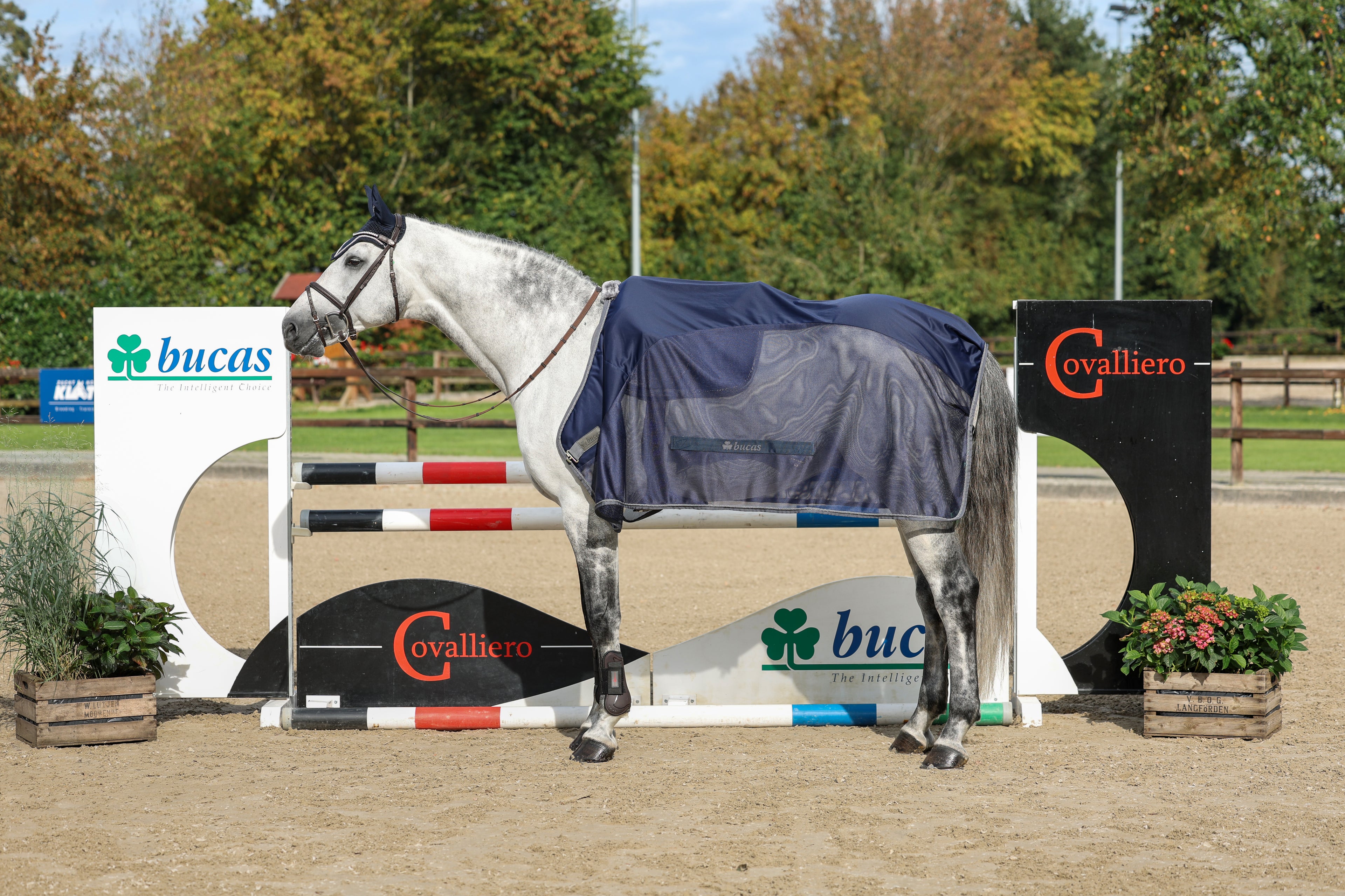 Bucas Competition MeshPlus Cooler Navy (rug only)