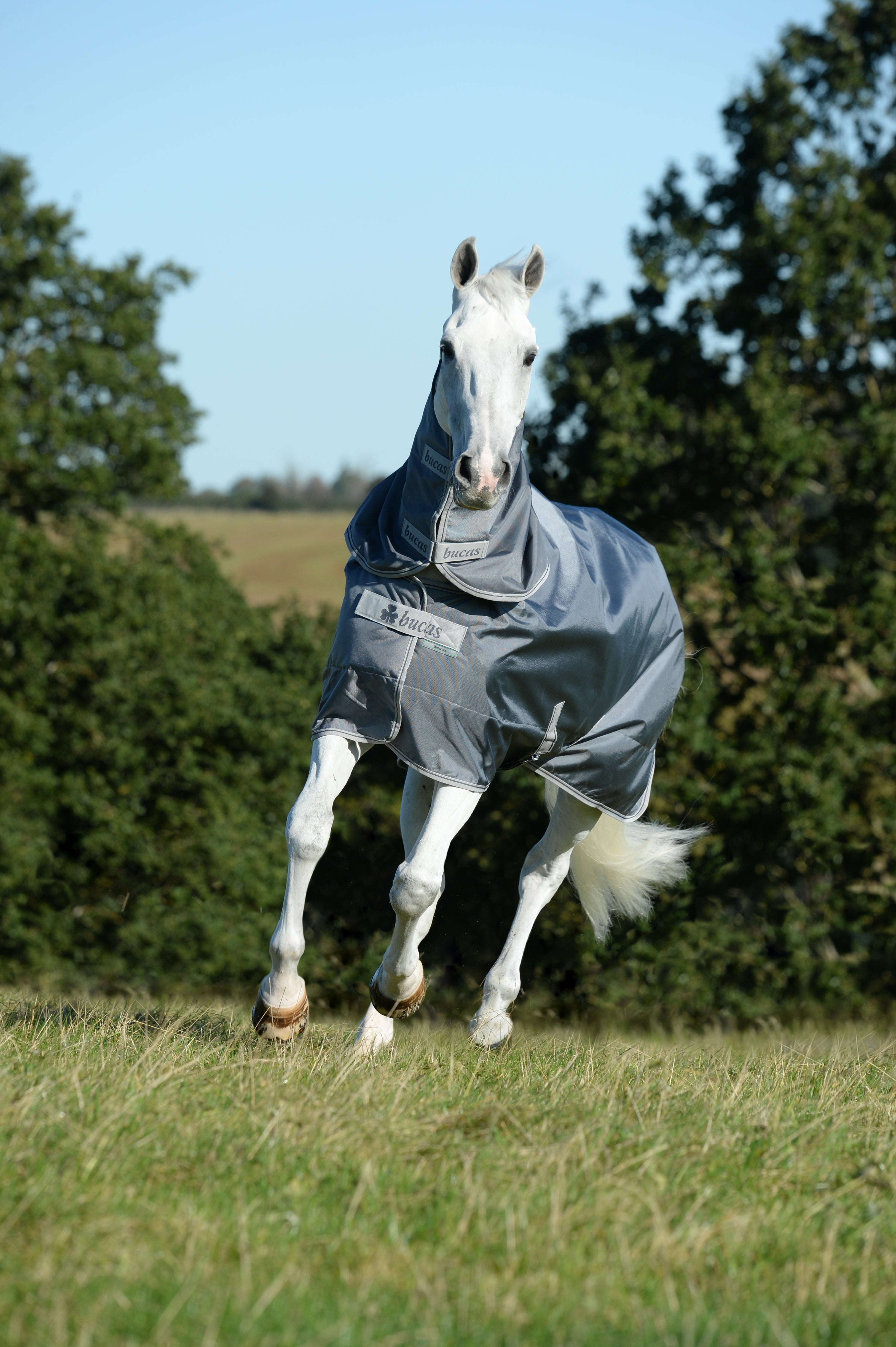 Bucas Rug Smartex 150g Turnout with Neck (Combo)