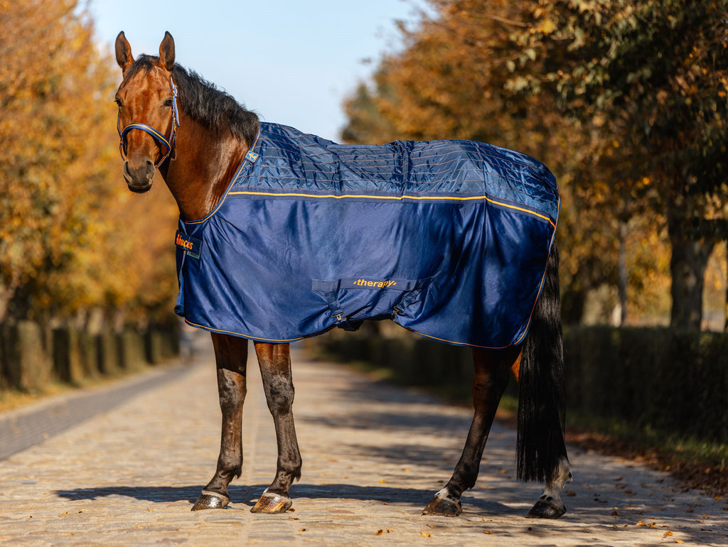 Bucas Therapy Cooler Rug Only