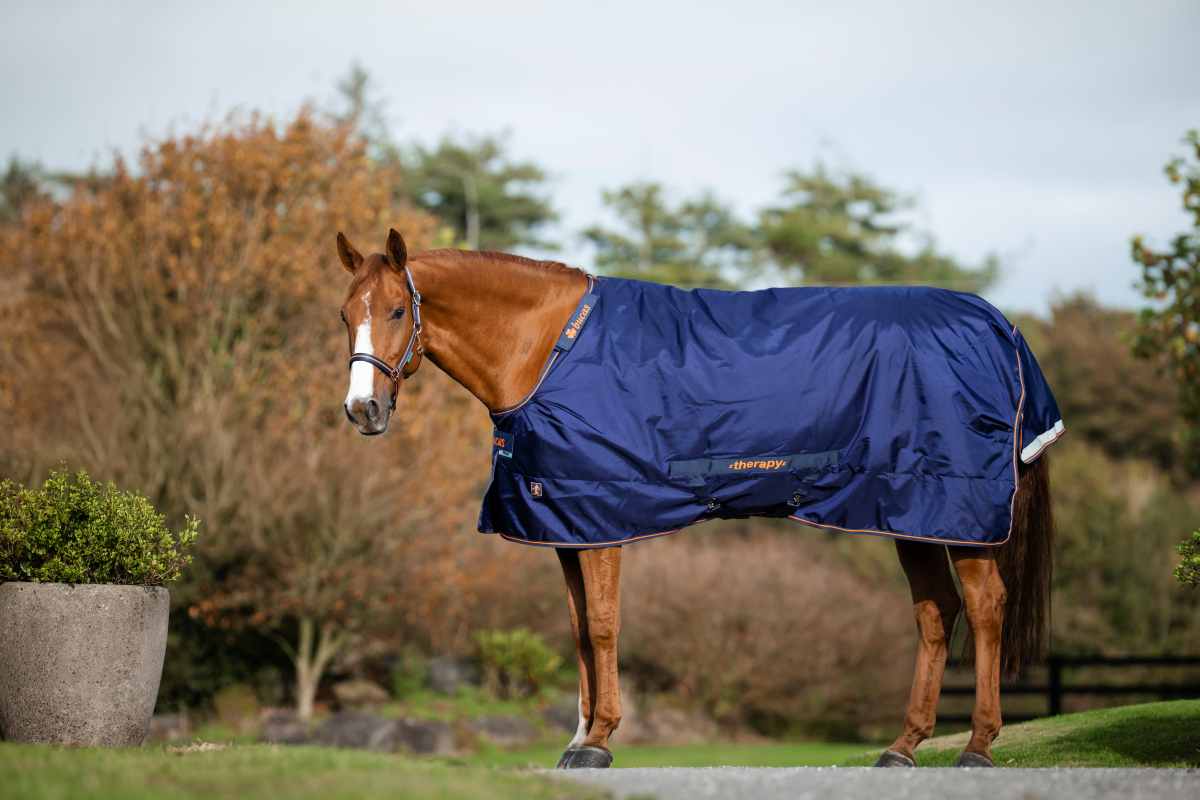Bucas Therapy 150g Turnout Rug only (no neck)