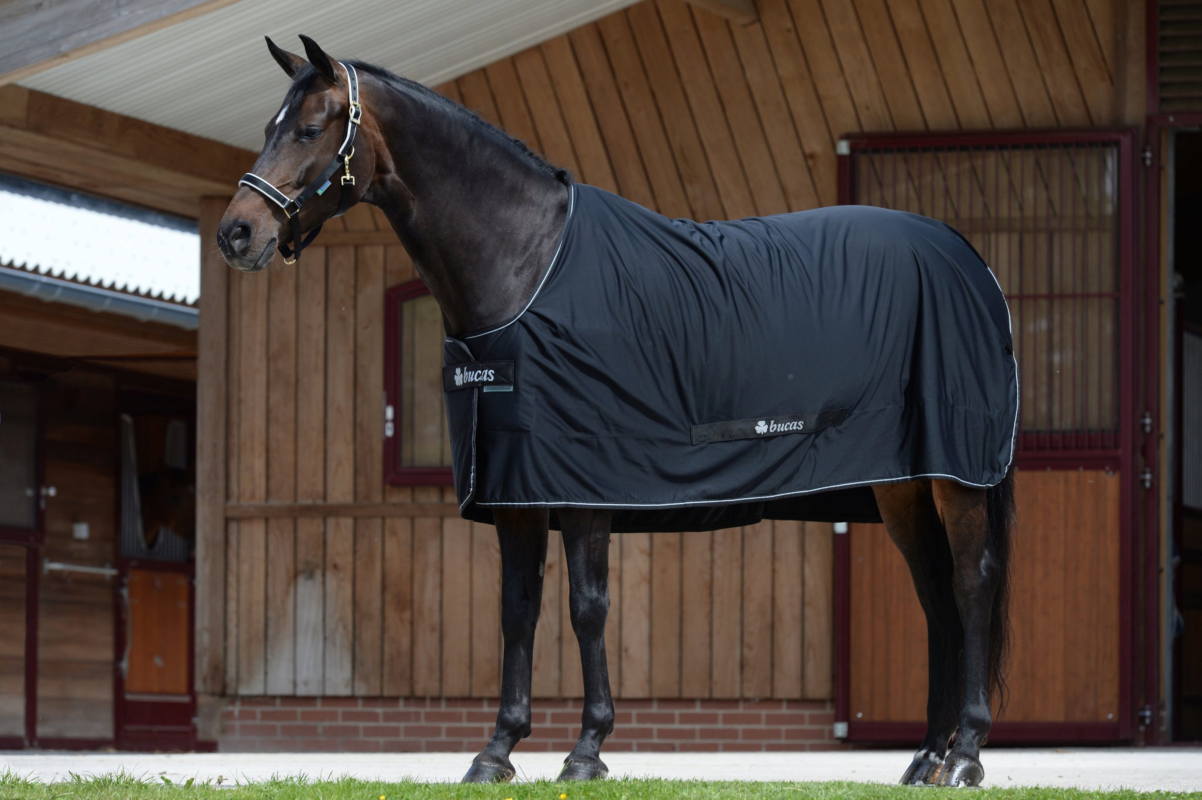 Bucas Shamrock Power Cooler (rug only) with Wicking liner