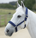 Bucas Comfort Padded Halter only