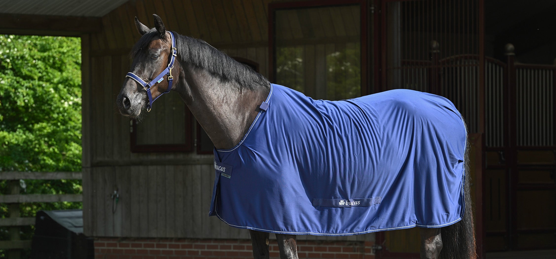 Bucas Power Cooler (Rug Only)