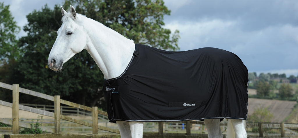 Bucas Power Cooler (Rug Only)