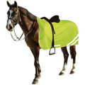 Hi-Viz Reflective Stay Safe Riding Rug